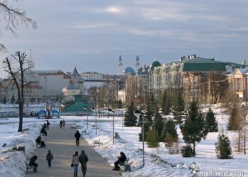 20 тысяч предпринимателей Татарстана получили бесплатную поддержку